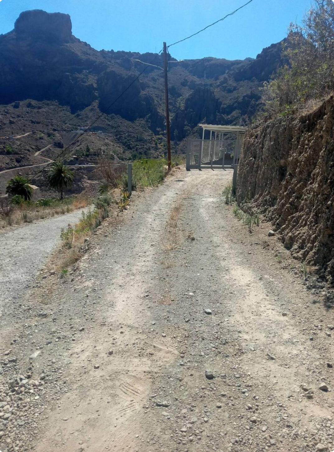 El Palmeral